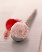 Sccop of Greek yoghurt and hibiscus flower ice cream