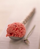 Eine Kugel rote Johannisbeere-Lavendel-Eis in Portionierer
