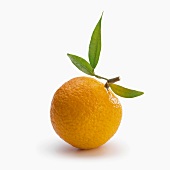 Eine Clementine
