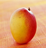 Mango (topic : family meal)