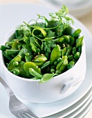 spring salad with peas and beans