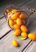 Kumquats fallen aus einem Glas