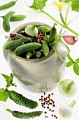 Jar of gherkins with herbs