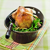 Pigeon and peas cokked in a casserole dish