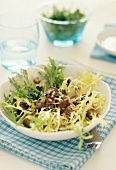 Curly endive and beef salad