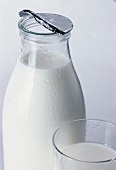 Flasche Milch mit einem Glas Milch