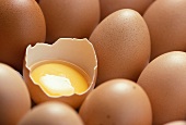 Mehrere Eier und ein geöffnetes Ei