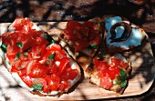 Crostini with tomatoes and mozzarella