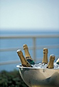 Mehrere eisgekühlte Champagnerflaschen auf einer Terrasse