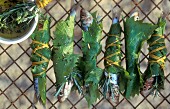 Sardines wrapped in vine leaves ready for grilling on a wire rack with a bowl of olive oil and fresh herbs de Provence