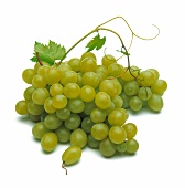 Grüne Weintrauben