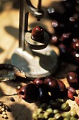 Oliven-Entsteiner, Oliven und Kapern