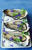 Oysters in white wine jelly