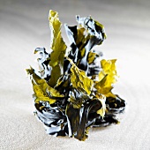 Seaweed wakame