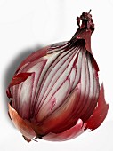 Red onion cut in half