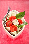 Mozzarella,tomato and basil salad
