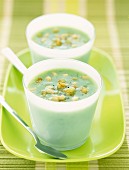 Cucumber soup with pine nuts