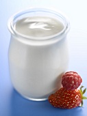 Pot of yoghurt with summer fruit