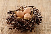 Eier im Nest aus Ästen