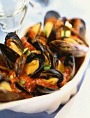 Mussels with celery, spring onions and tomatoes