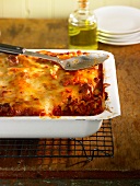 Lasagne alla bolognese (Nudelauflauf mit deftiger Fleischsauce, Italien)