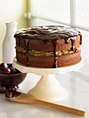 Chocolate cake with chestnut cream and dried fruit