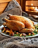 Capon with chanterelle mushrooms and peas