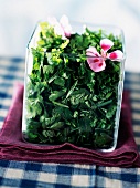 Frischer Kräutersalat mit Blüten in einer eckigen Glasschale