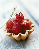 Strawberry tartlet