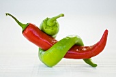 Two peppers tied together