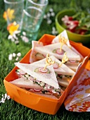 Cream cheese sandwiches with cucumber and radishes for a picnic