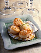 Scallops with celery purée and lime
