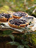 Bilberry tartlets