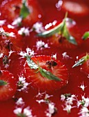 Erdbeersuppe mit Minze