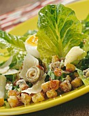 Nizza-Salat