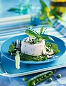 Cream cheese flan with pea sauce