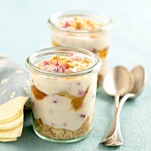 Trifle mit Biskuit, Creme und Früchten