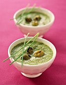 Chilled olive and herb soup