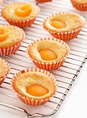 Small apricot and yoghurt cup cakes