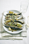 Grilled sardines with lime