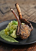 Doe chops with brussels sprout puree