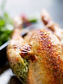 Roast chicken stuffed with herbs