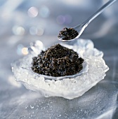 Small dish of caviar surrounded with ice