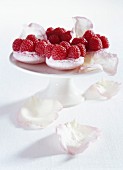 Raspberry and mascarpone macarooons with rose water