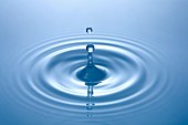A drop of water falling in water