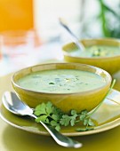 Cream of zucchini and coriander soup