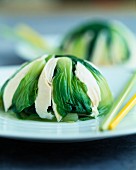 Chicken breast and Bok choy dome
