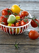 Basket of assorted tomatoes