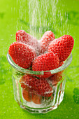 Erdbeeren werden mit Puderzucker bestaubt