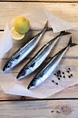 Raw mackerels